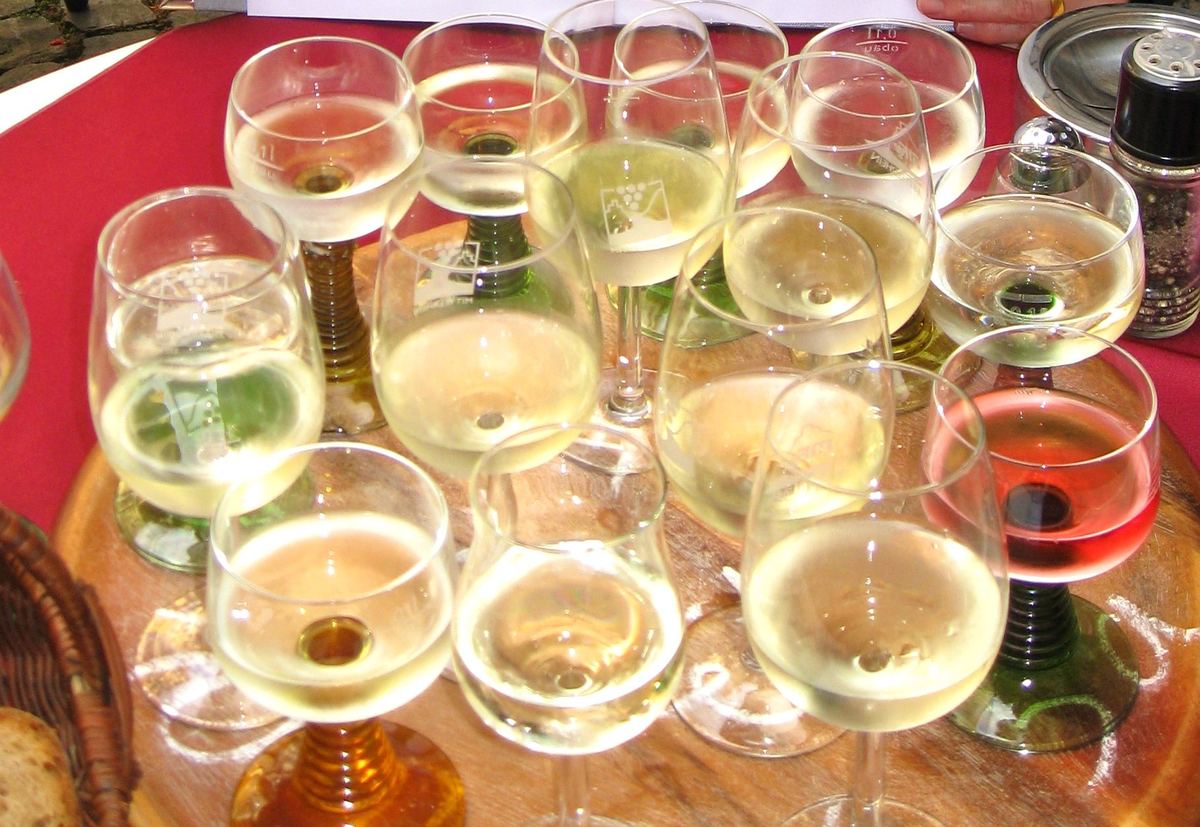 Lecture & Turkish Wine Tasting — 3