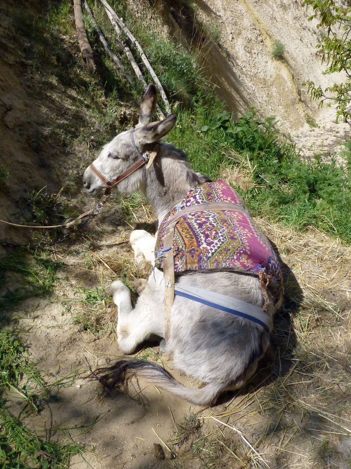 Hike in Cappadocia — 1